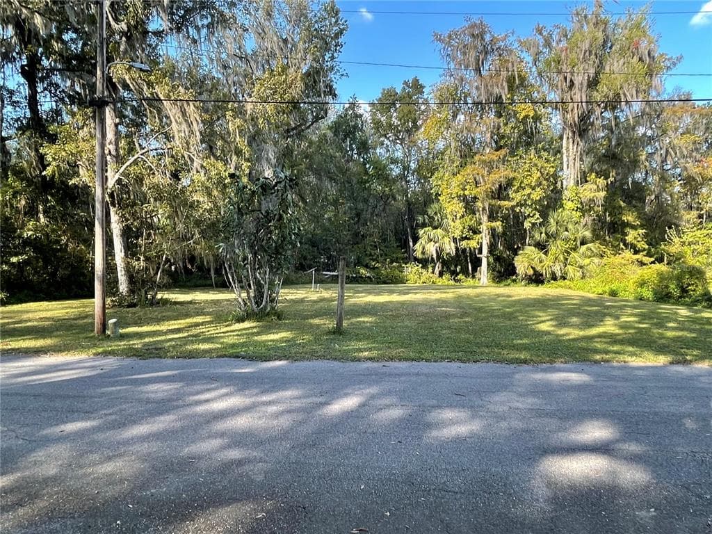 3785 CR 405N LAKE PANASOFFKEE, FL 33538