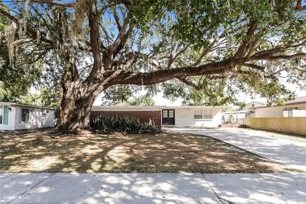205 BRYAN ROAD BRANDON, FL 33511
