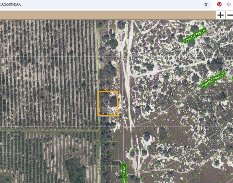 725 MALAGUENA AVENUE LAKE PLACID, FL 33852