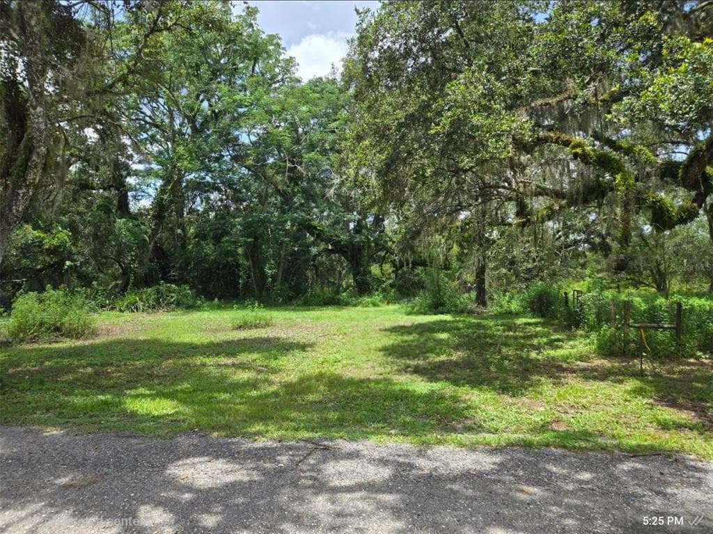 0 DUBLIN ROAD RIDGE MANOR, FL 33523