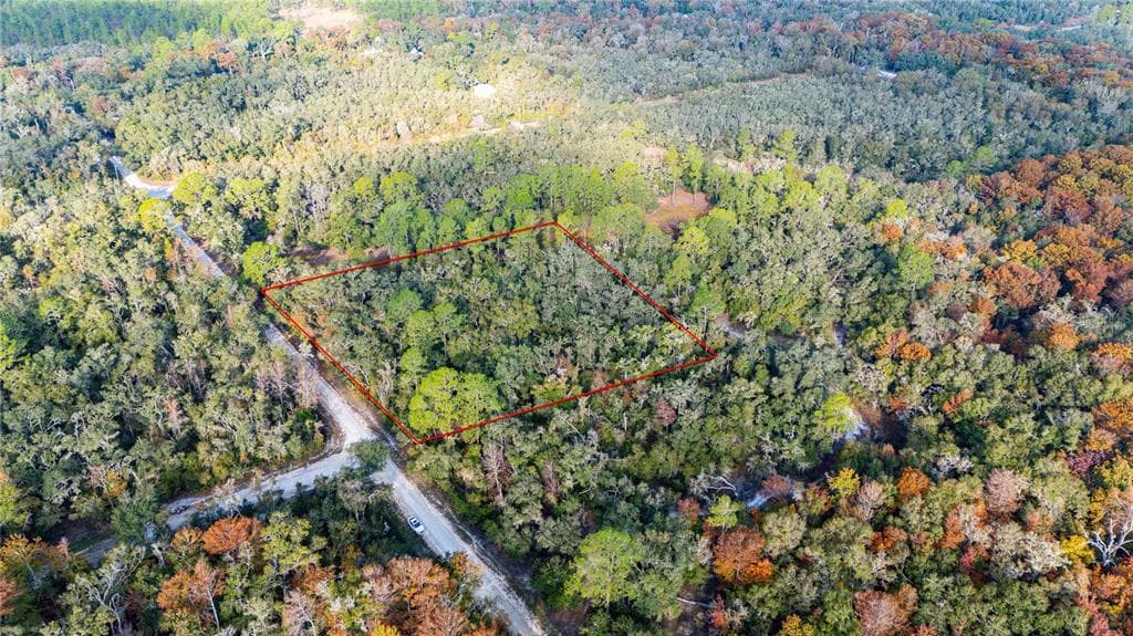 0 ROSE BLOOM LOT 5 AVENUE WEBSTER, FL 33597