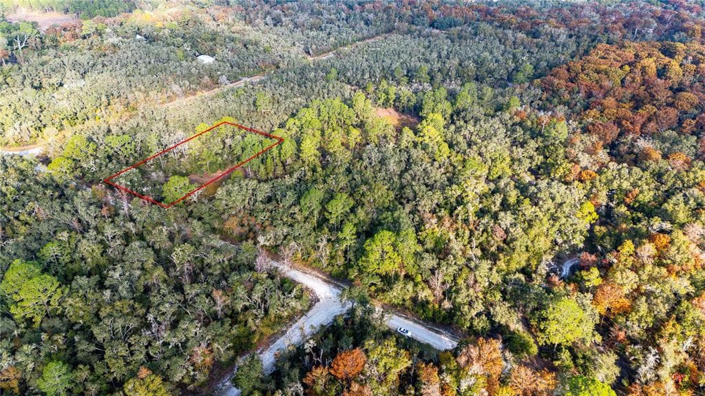 0 ROSE BLOOM LOT 7 AVENUE WEBSTER, FL 33597
