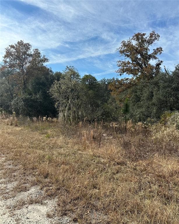 Lot 26 SE 133RD AVENUE DUNNELLON, FL 34434