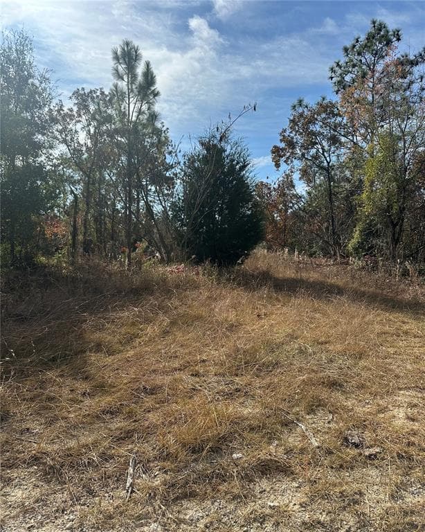 Lot 2 NE 151ST TER WILLISTON, FL 32696
