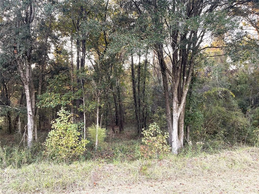 NW 145TH AVE LOT 25 WILLISTON, FL 32696