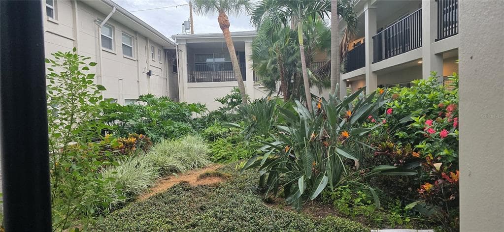 224 6TH AVENUE N UNIT 11 ST PETERSBURG, FL 33701