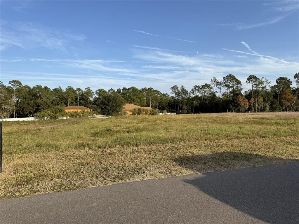 14950 MIM PLACE DADE CITY, FL 33525