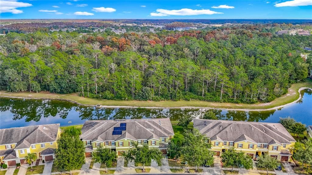 20451 BERRYWOOD LANE TAMPA, FL 33647
