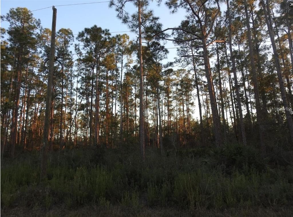 320 GAILLARDIA DRIVE INDIAN LAKE ESTATES, FL 33855