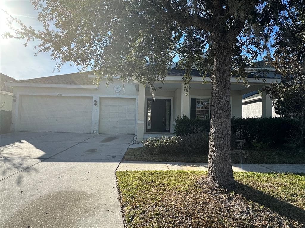 20010 DAYTONA WAY TAMPA, FL 33647