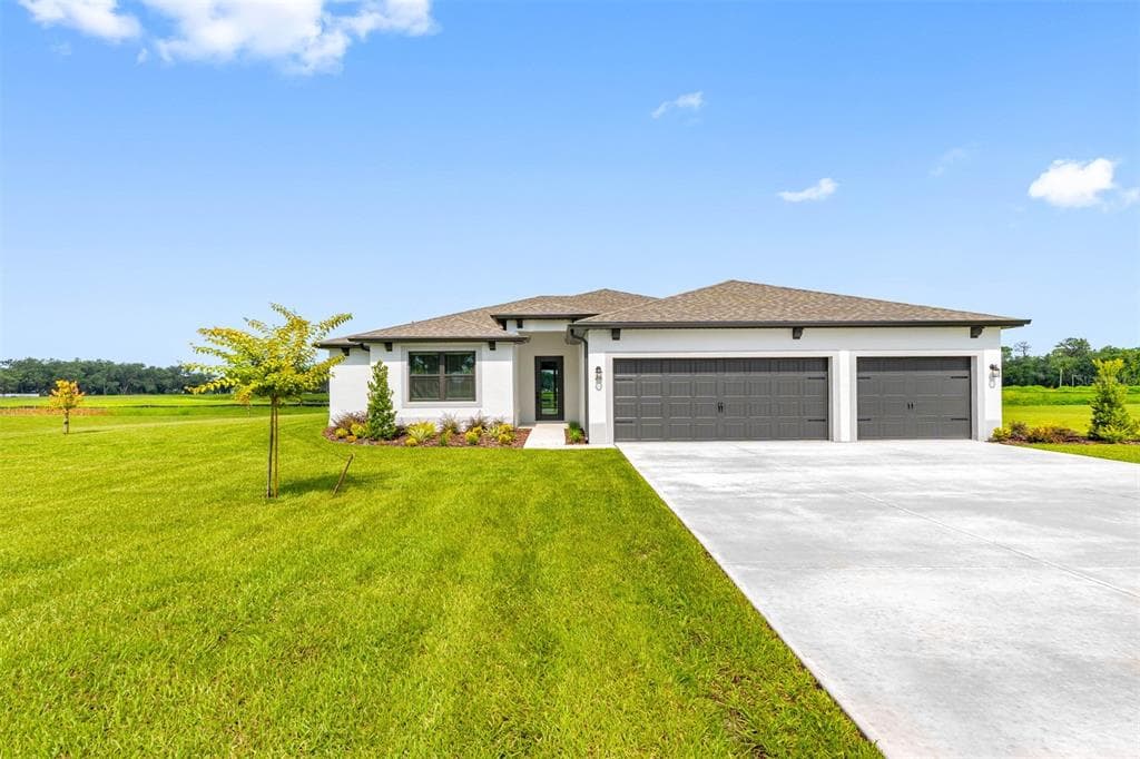 13456 LAKE GALLAGHER DRIVE DOVER, FL 33527