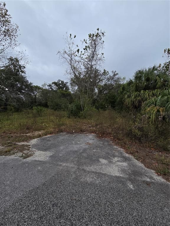 10142 MARKHAM STREET NEW PORT RICHEY, FL 34654