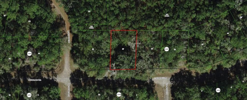 373 E AVONDALE DRIVE DUNNELLON, FL 34434