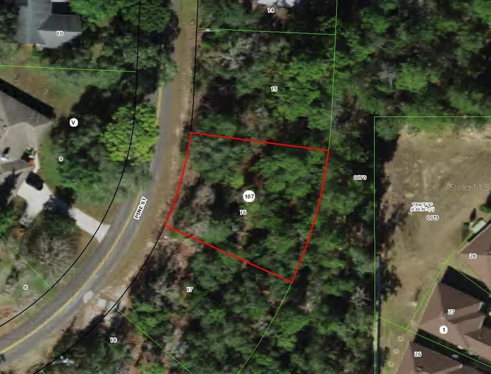151 PINE STREET HOMOSASSA, FL 34446