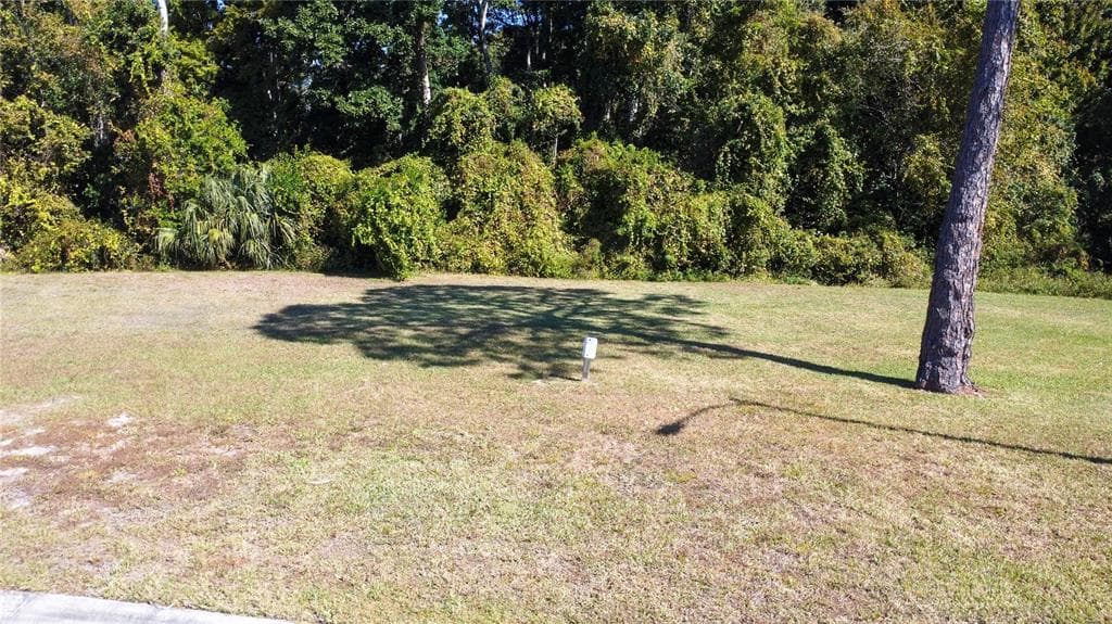 FOREST GLENN DRIVE SPRING HILL, FL 34607