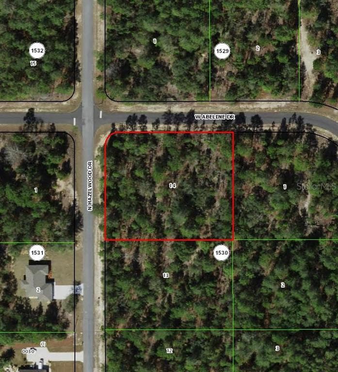 6777 N HAZELWOOD DRIVE CITRUS SPRINGS, FL 34433