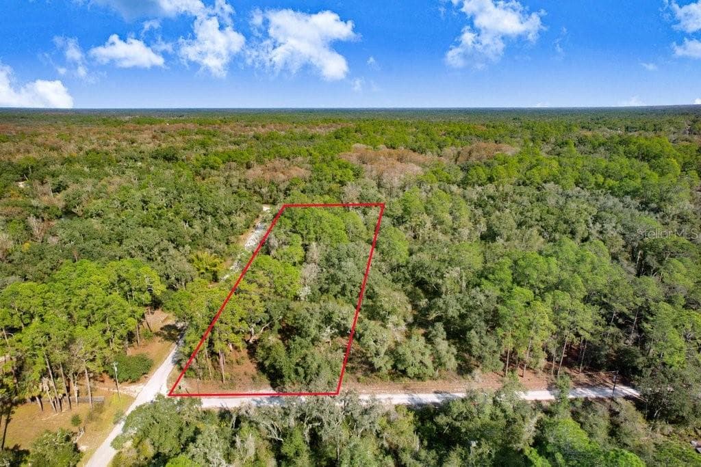 SONIA AVENUE WEBSTER, FL 33597