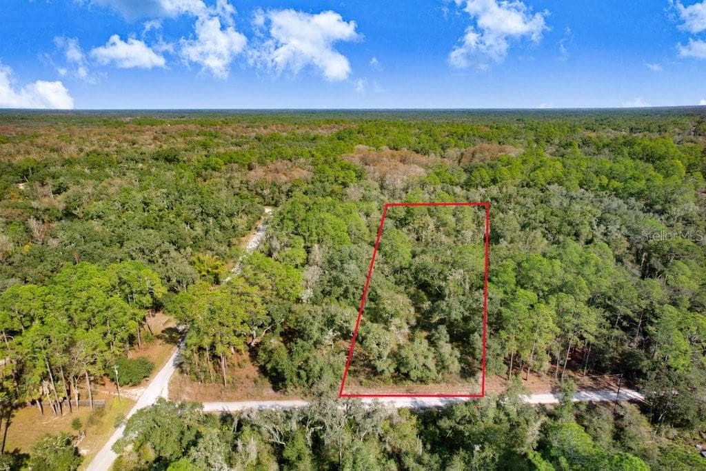 7292 SONIA AVENUE WEBSTER, FL 33597