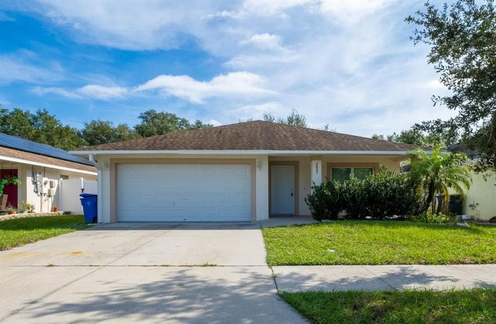 2025 PEACEFUL PALM STREET