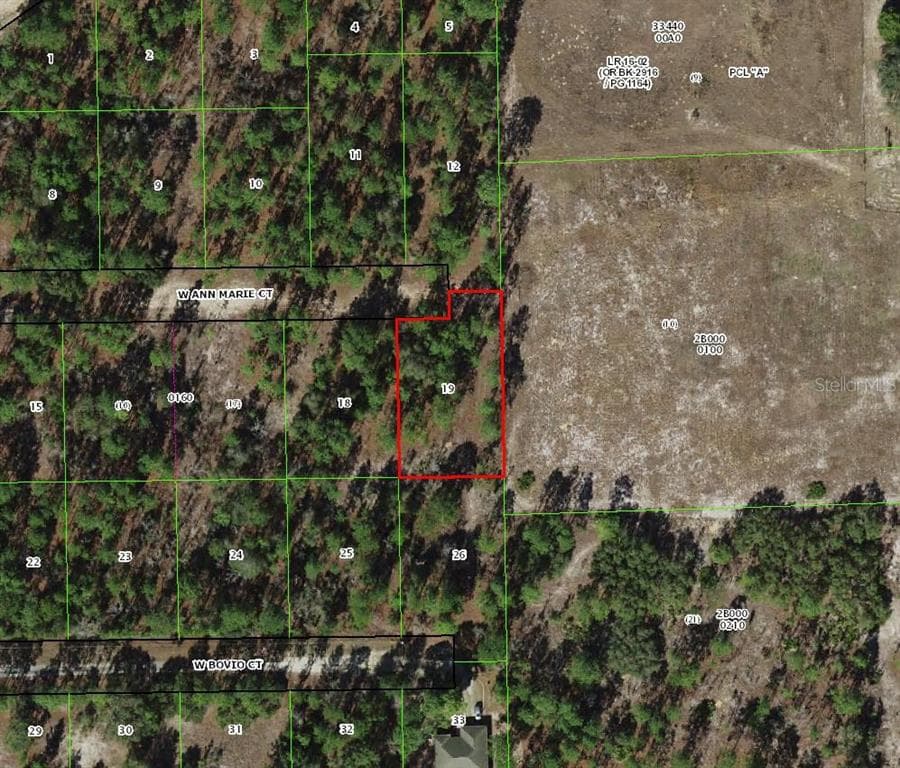 6020 W ANN MARIE COURT DUNNELLON, FL 34433