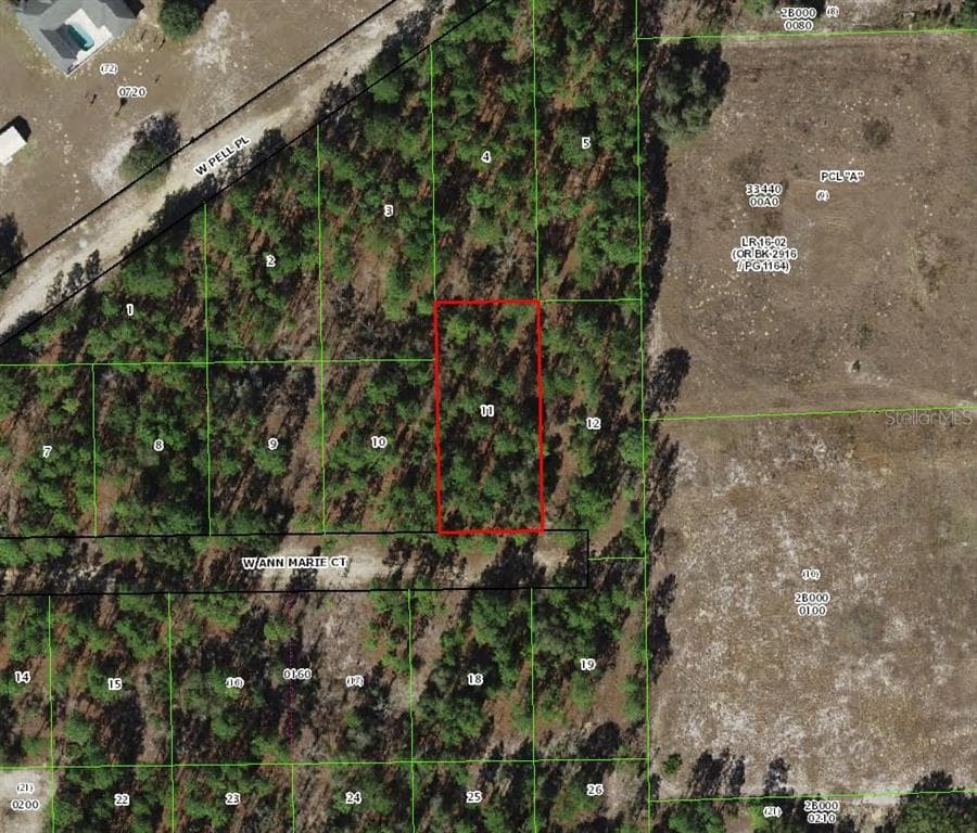 6031 W ANN MARIE COURT DUNNELLON, FL 34433