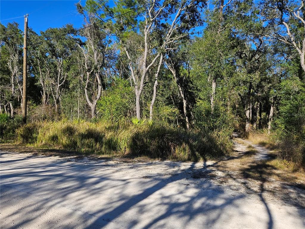 BERRYHILL DRIVE WEBSTER, FL 33597