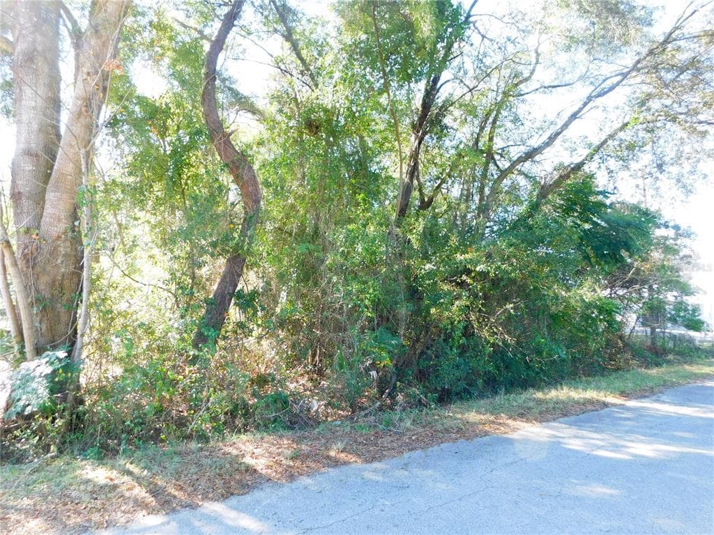 SE 135TH LANE BELLEVIEW, FL 34420