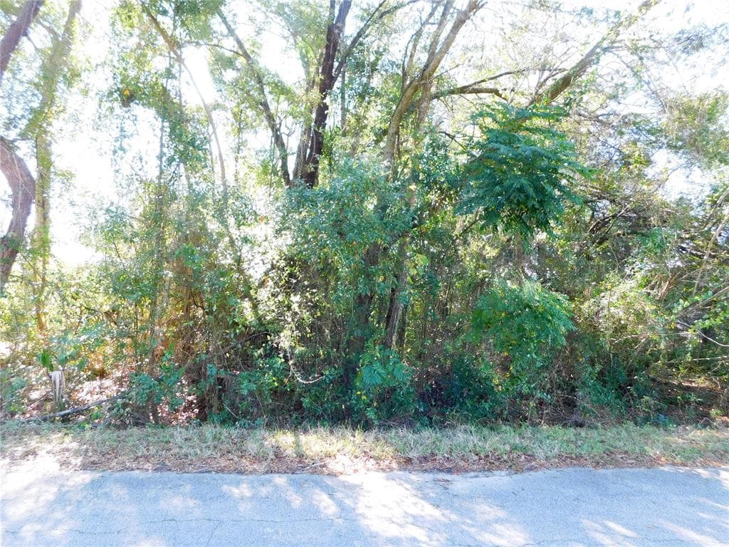 SE 135TH LANE BELLEVIEW, FL 34420