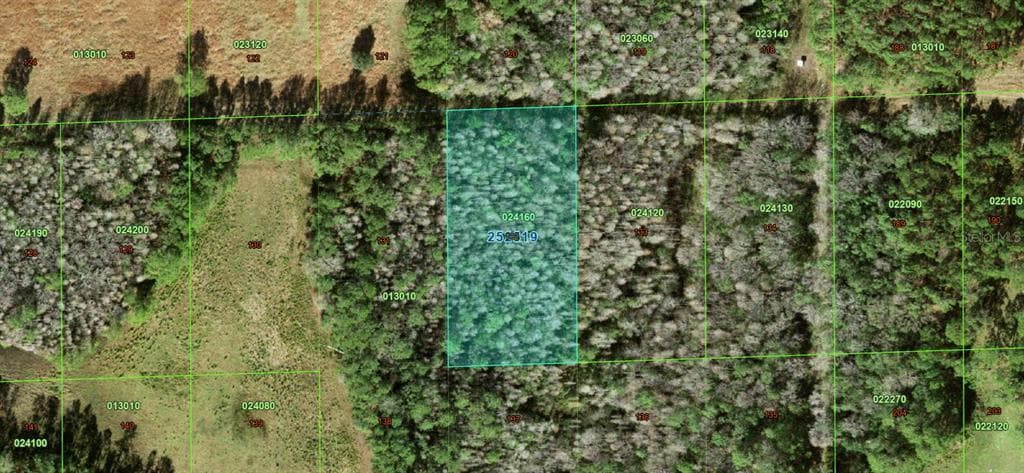 NONE POLK CITY, FL 33868