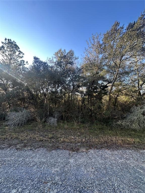 3908 W TROPIC LANE DUNNELLON, FL 34433
