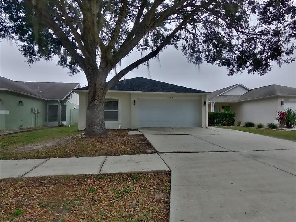 30229 DOUBLE DRIVE WESLEY CHAPEL, FL 33545