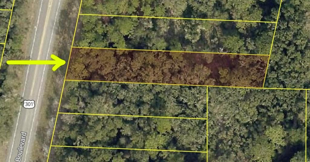 7302 TREIMAN BOULEVARD WEBSTER, FL 33597