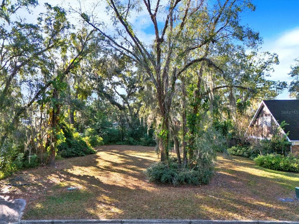 1113 N RIVERHILLS DRIVE TEMPLE TERRACE, FL 33617