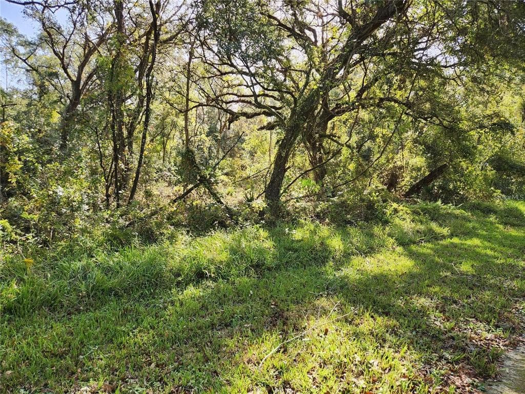 000 TABLE ROCK DRIVE WEBSTER, FL 33597