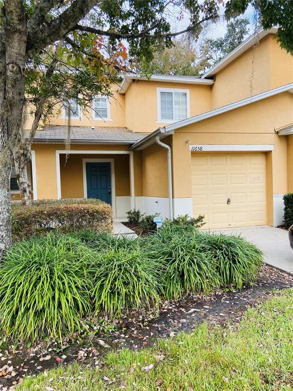 11658 MANGO RIDGE BOULEVARD SEFFNER, FL 33584