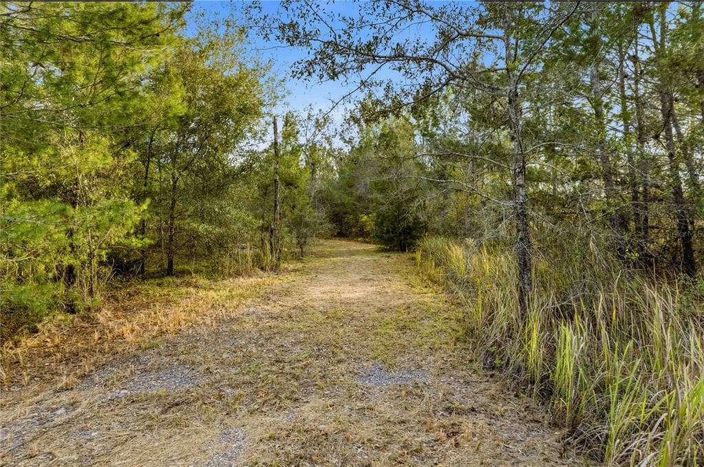 0 BACKWOODS WAY BROOKSVILLE, FL 34614
