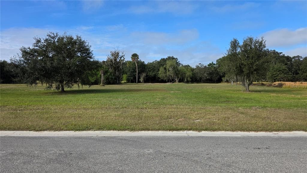 15311 FISHHAWK HEIGHTS RUN LITHIA, FL 33547
