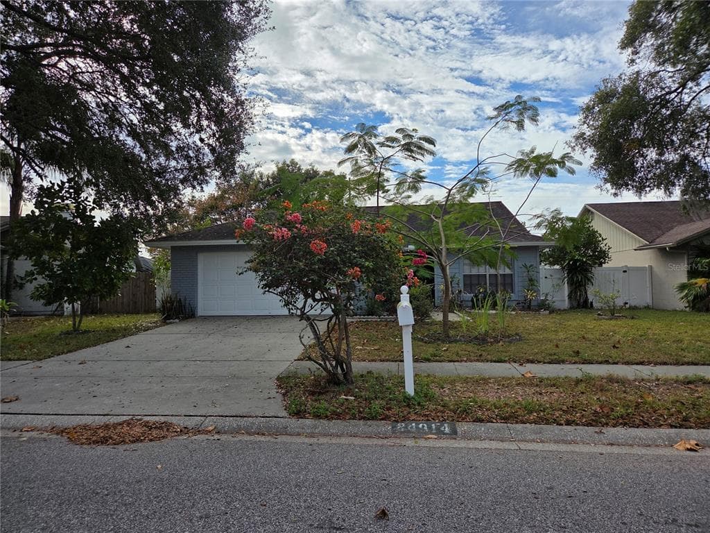 24914 SILVERSMITH DRIVE LUTZ, FL 33559