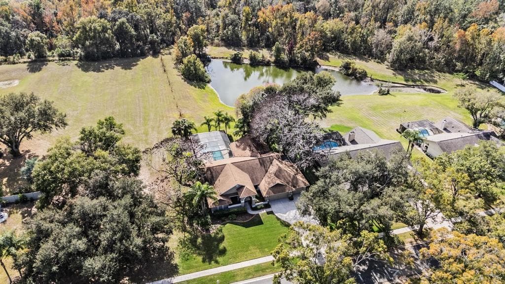 3911 LITHIA RIDGE BOULEVARD VALRICO, FL 33596