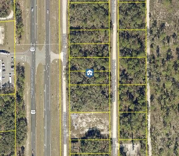 LOT 16 NECKLACE WARBLER AVENUE WEEKI WACHEE, FL 34614