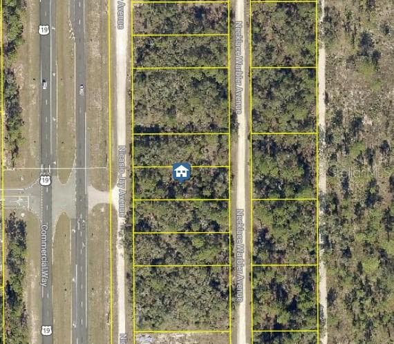 LOT 14 NECKLACE WARBLER WEEKI WACHEE, FL 34614