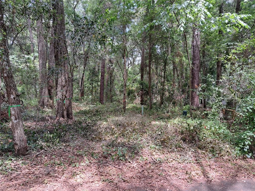 2164 SW 37TH COURT GAINESVILLE, FL 32608