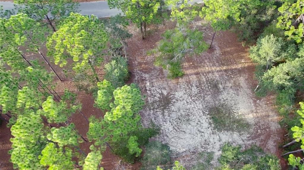 6334 LITTLE LAKE GENEVA ROAD KEYSTONE HEIGHTS, FL 32656