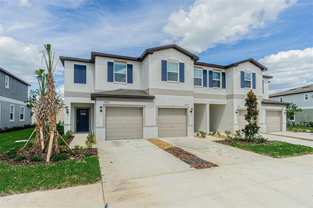 32065 POWDERPUFF MIMOSA SAN ANTONIO, FL 33576