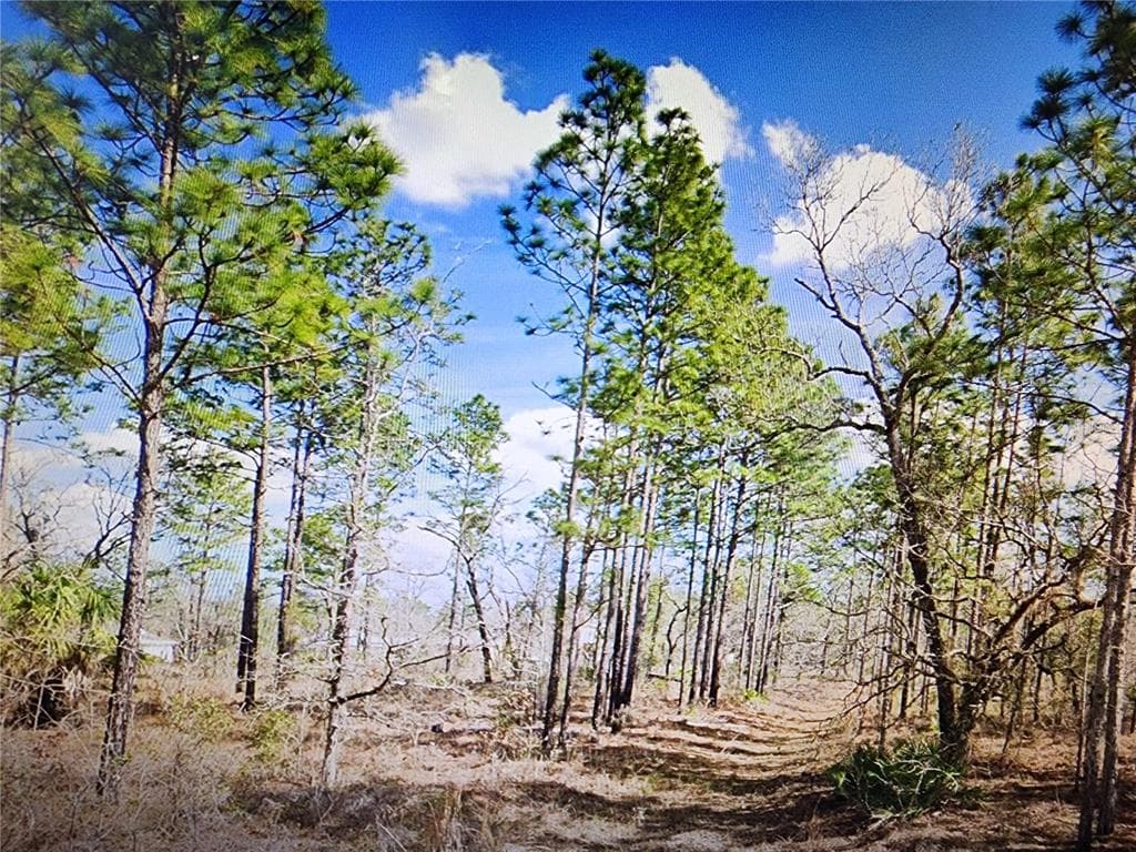 DUSKY SPARROW ROAD Lot #24 WEEKI WACHEE, FL 34614