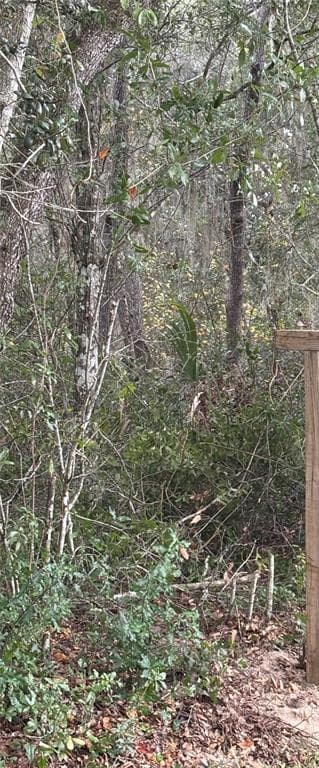5670 WEST STREET DE LEON SPRINGS, FL 32130
