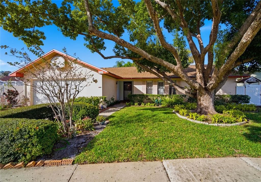3103 BENTWOOD LANE SAFETY HARBOR, FL 34695