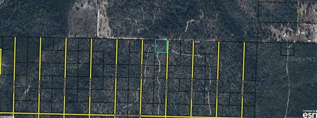 HIGHWAY 20 YOUNGSTOWN, FL 32466