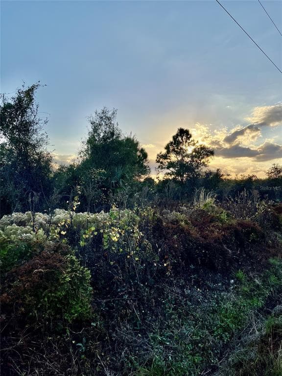 14416 NW 252ND STREET OKEECHOBEE, FL 34972