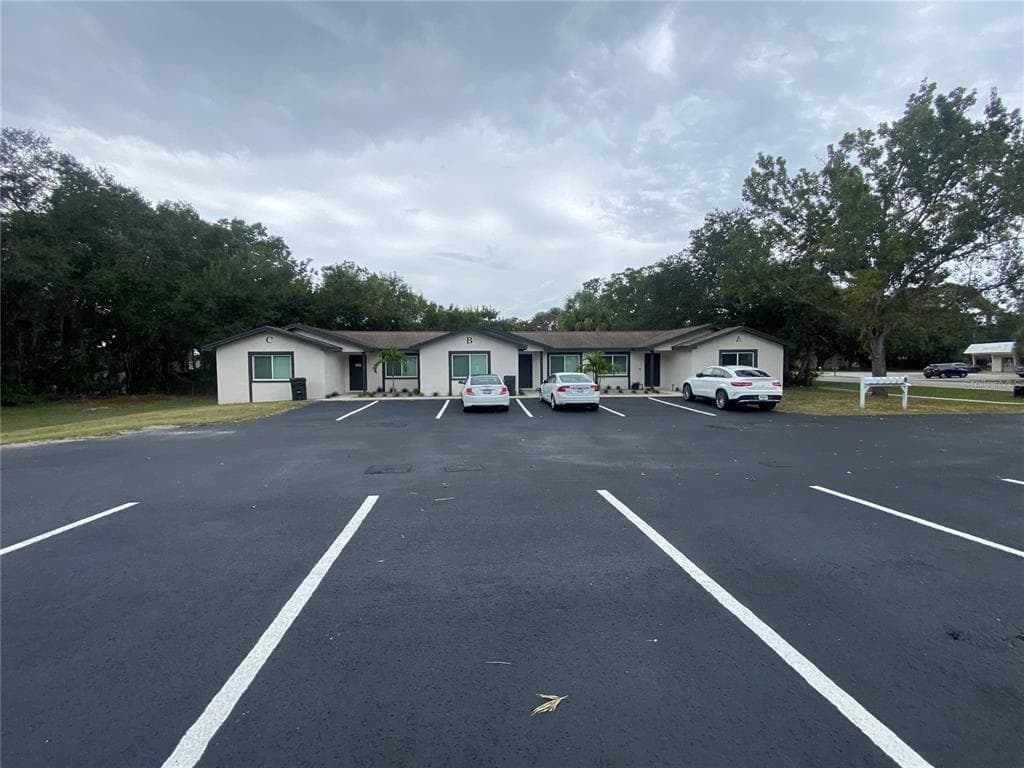 206 SAINT PETERSBURG DRIVE E OLDSMAR, FL 34677